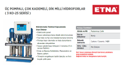 Etna 3 KO 15/6-40 5.5hp 380v Üç Pompalı Çok Kademeli Paket Hidrofor