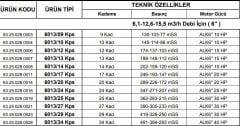 Alarko  6013/25 Kps  30Hp  6'' Paslanmaz Derin Kuyu Dalgıç Pompa (Motor+Pompa) ALK-KPS Serisi