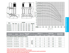 Etna 2 KO 35/7-150 20hp 380v İki Pompalı Çok Kademeli Paket Hidrofor