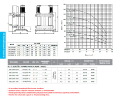 Etna 2 KO 25/3-30 4hp 380v İki Pompalı Çok Kademeli Paket Hidrofor