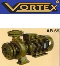 Vortex  AB 65-100     10 Hp 380V    Yatay Monoblok Santrifüj Pompa