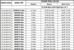 Alarko  6046/07 Kps  15Hp  6'' Paslanmaz Derin Kuyu Dalgıç Pompa (Motor+Pompa) ALK-KPS Serisi