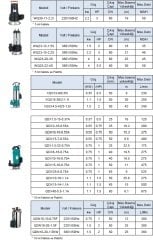 Leo WQ23-12-1.5S   2Hp 380V  Foseptik  Drenaj Dalgıç Pompa