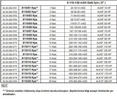 Alarko  8110/09 Kps  85Hp  8'' Paslanmaz Derin Kuyu Dalgıç Pompa (Motor+Pompa) ALK-KPS Serisi