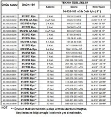 Alarko  8125/02 Kps  30Hp  8'' Paslanmaz Derin Kuyu Dalgıç Pompa (Motor+Pompa) ALK-KPS Serisi