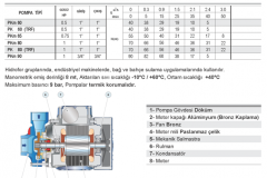 Pedrollo PKm 65 0.7hp 220v Preferik Santrifüj Pompa