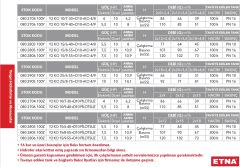 Etna Y2 KO 25/6-55+D10+KO 4/9 Paslanmaz Çelik Gövdeli 380V Yatay Pompalı Alarm Kitli Yangın Hidroforu (Dizel+Elektrikli+Jokey Pompalı) - Aisi 304