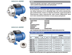 Sumak SMINOX/A-150 1.5hp 220v Paslanmaz Santrifüj Pompa Kapalı Fanlı