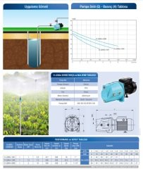 ALARKO JET D-JSWM-10H 1'' Çıkışlı 1Hp 220v Döküm Gövdeli Kendinden Emişli Jet Pompa