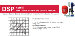 Mas Daf DSP 3106 1hp 220v Tek Pompalı Paket Hidrofor