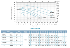 Leo 2ACm 75 1hp 220v Çift Kademeli Santrifüj Pompa