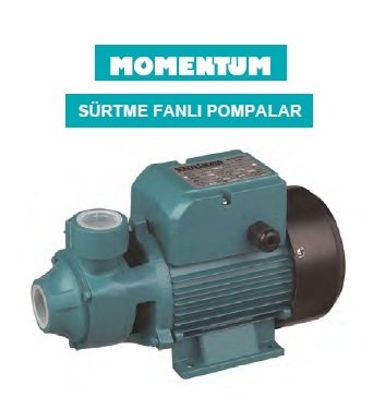 Momentum  PK80AT   1Hp  380V  Preferikal Sürtme Fanlı Pompa