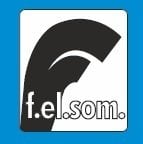Felsom AP D24   20Hp   6''  Noril Fanlı Difüzörlü Dalgıç Pompa (Tek Pompa-Pompa Kademesi-Motorsuz)