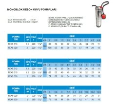 Felsom FEX5 920   2Hp 220V   Çok Kademeli Dipten Emişli Monoblok Keson Kuyu Pompa- Fiyat bilgisi için iletişime geçiniz