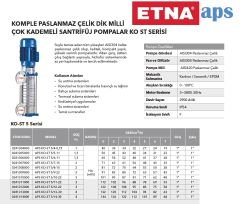 Etna APS KO-ST 20/2-22  3Hp 380V Komple Paslanmaz Çelik Dik Milli Çok Kademeli Kompakt Yapılı Yüksek Verimli Santrifüj Pompa - Aisi 304 (2900 d/dk)
