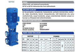 Sumak SHT65/3A 55Kw 380v Tek Pompalı Düşey Milli Kademeli Hidrofor