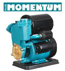 Momentum PKSm130 0.17hp 220v Sütme Fanlı Hidrofor
