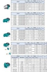 Leo  Acm60   0.8hp 220v  Tek Fanlı Santrifüj Pompa